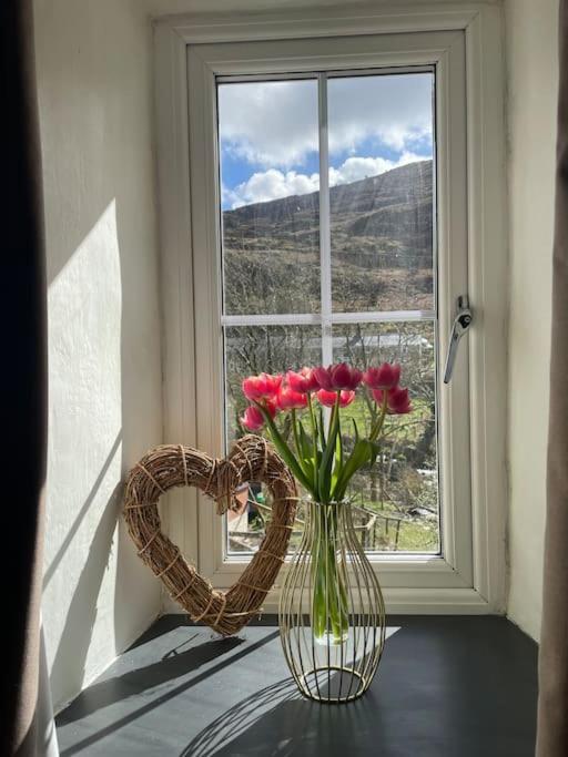 Pen-Y-Bryn Cottage Blaenau Ffestiniog Exteriér fotografie
